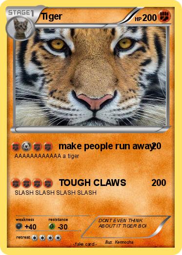 Pokemon Tiger