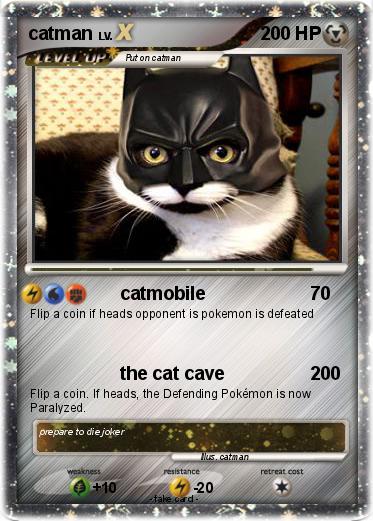 Pokemon catman