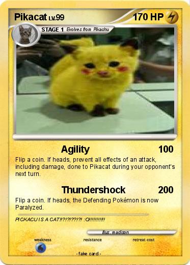 Pokemon Pikacat