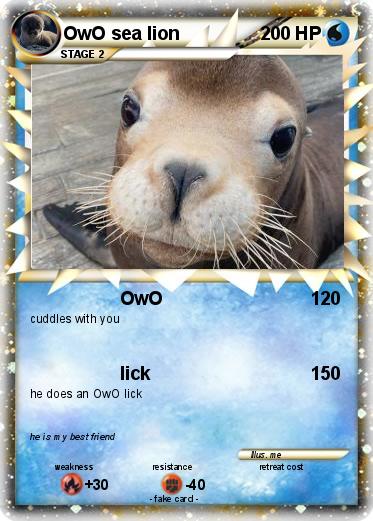 Pokemon OwO sea lion