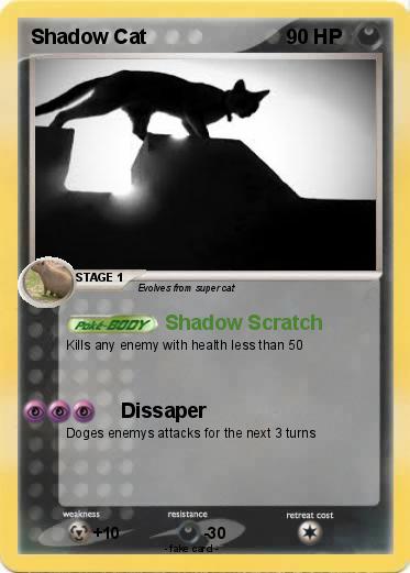 Pokemon Shadow Cat