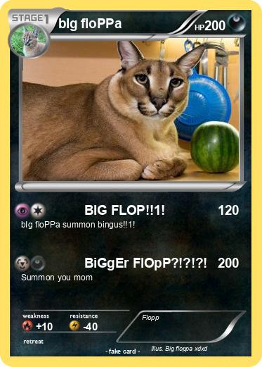 Pokemon bIg floPPa