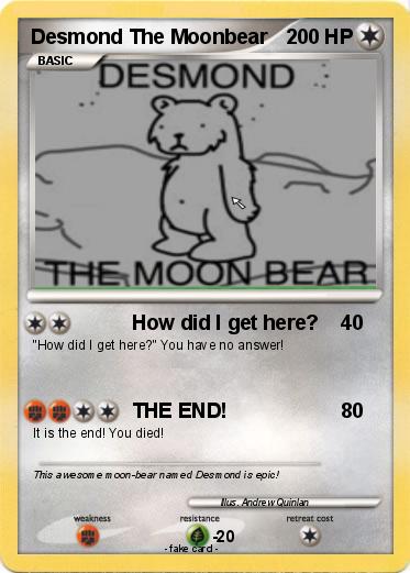 Pokemon Desmond The Moonbear