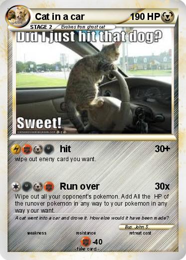 Pokemon Cat in a car