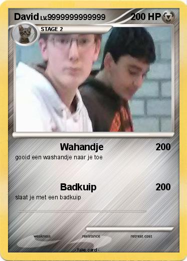 Pokemon David