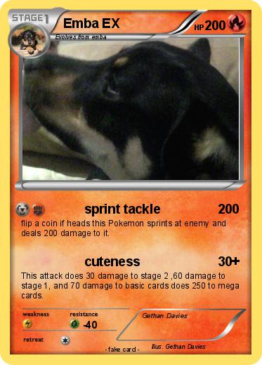 Pokemon Emba EX