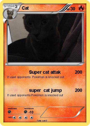 Pokemon Cat