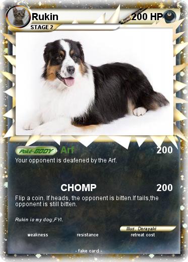 Pokemon Rukin
