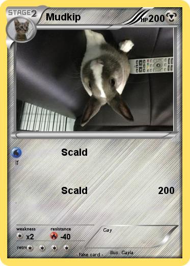 Pokemon Mudkip
