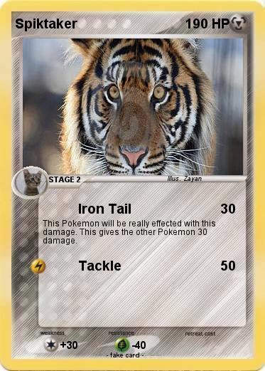 Pokemon Spiktaker