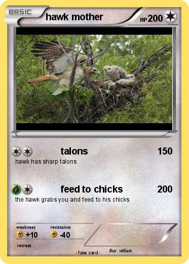 Pokemon hawk mother