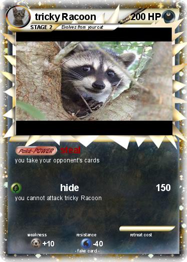 Pokemon tricky Racoon