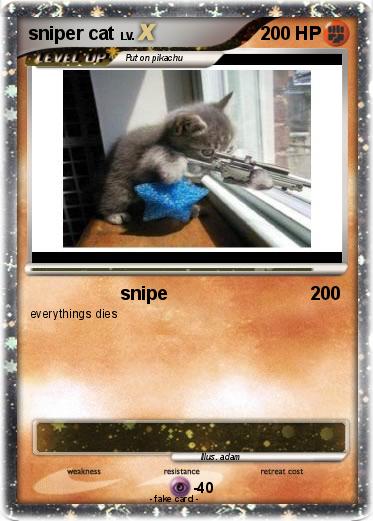 Pokemon sniper cat