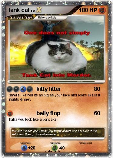 Pokemon tank cat