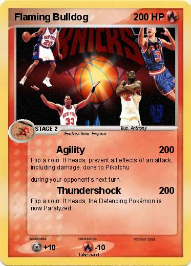 Pokemon Flaming Bulldog