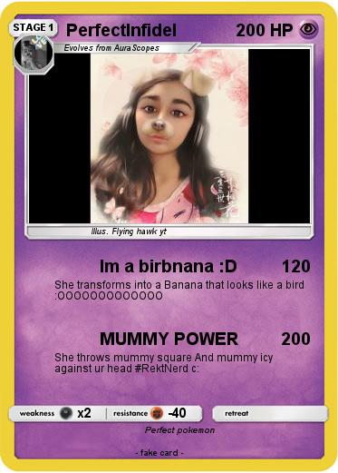 Pokemon PerfectInfidel