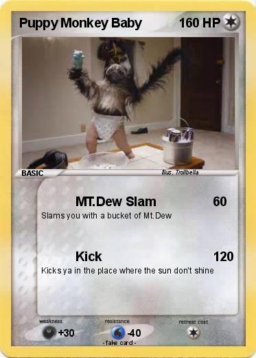 Pokemon Puppy Monkey Baby