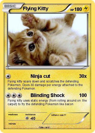Pokemon Flying Kitty