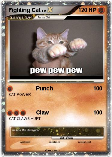 Pokemon Fighting Cat