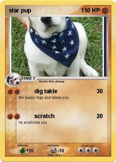 Pokemon star pup