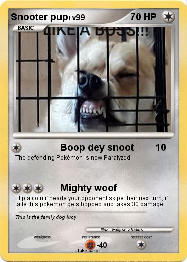 Pokemon Snooter pup