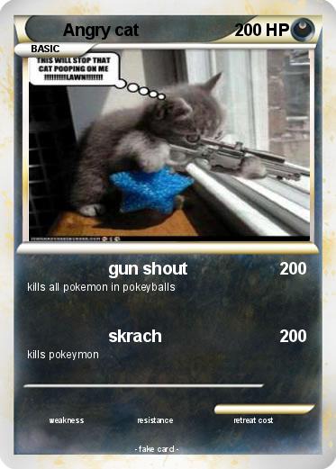 Pokemon Angry cat