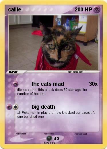Pokemon callie