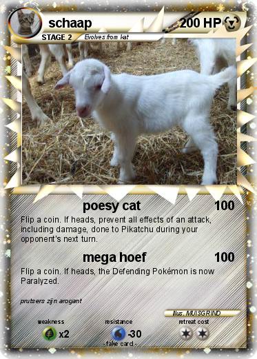 Pokemon schaap