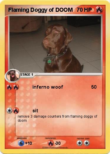 Pokemon Flaming Doggy of DOOM 