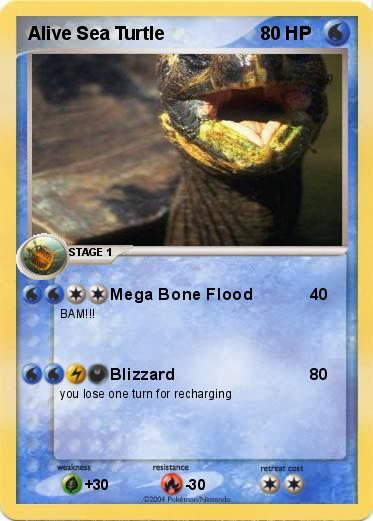 Pokemon Alive Sea Turtle