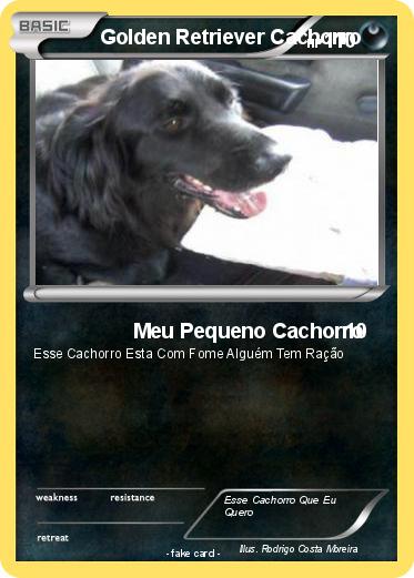Pokemon Golden Retriever Cachorro