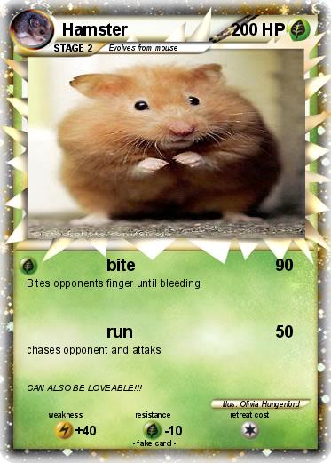 Pokemon Hamster
