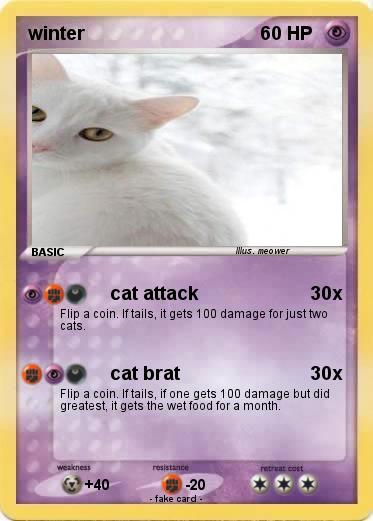 Pokemon winter