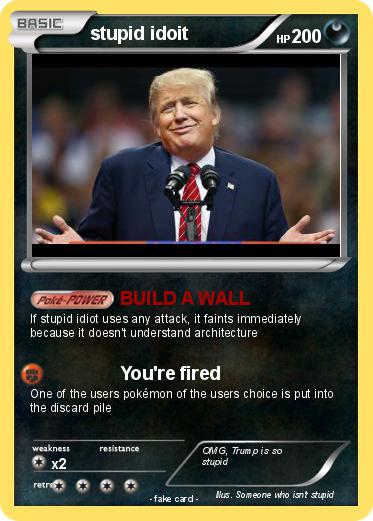 Pokemon stupid idoit