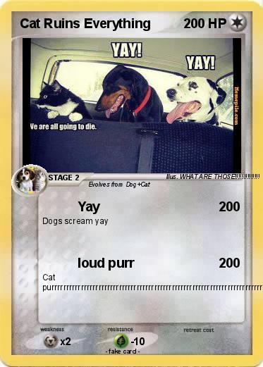 Pokemon Cat Ruins Everything