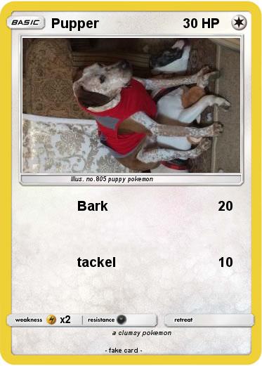 Pokemon Pupper