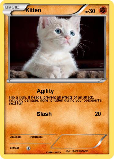 Pokemon Kitten