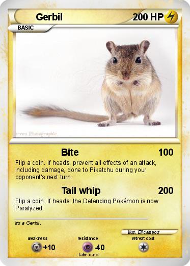 Pokemon Gerbil