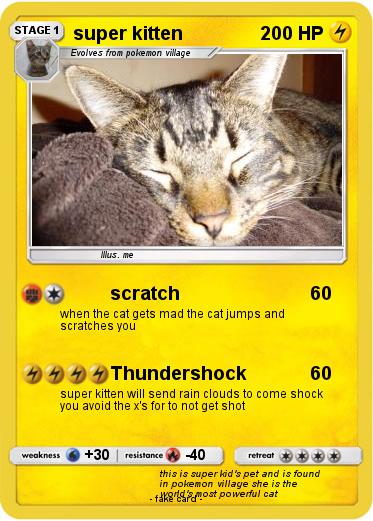 Pokemon super kitten