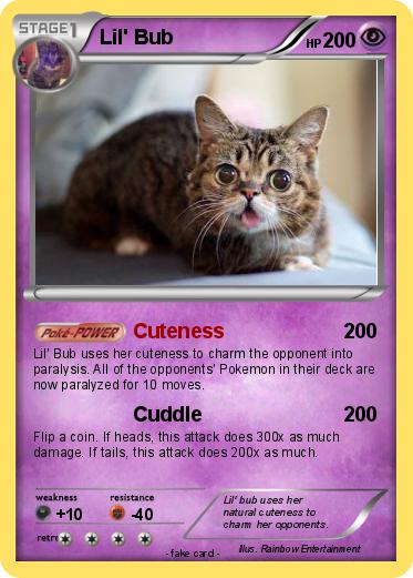 Pokemon Lil' Bub