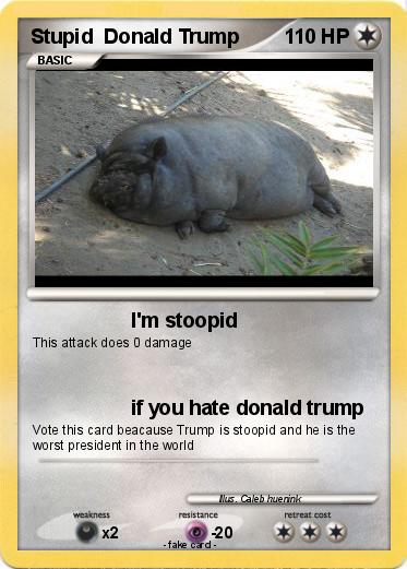 Pokemon Stupid  Donald Trump