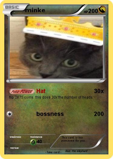 Pokemon minke