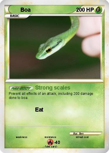 Pokemon Boa