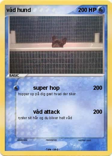 Pokemon våd hund