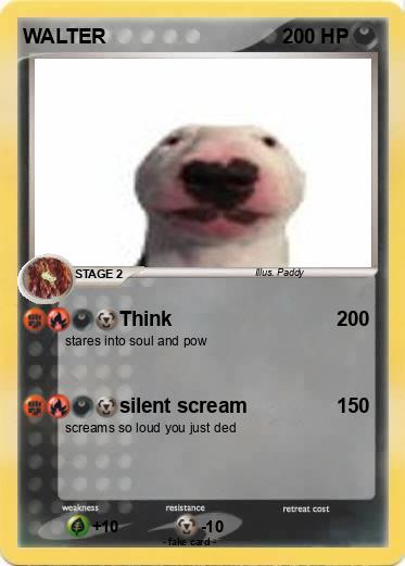 Pokemon WALTER