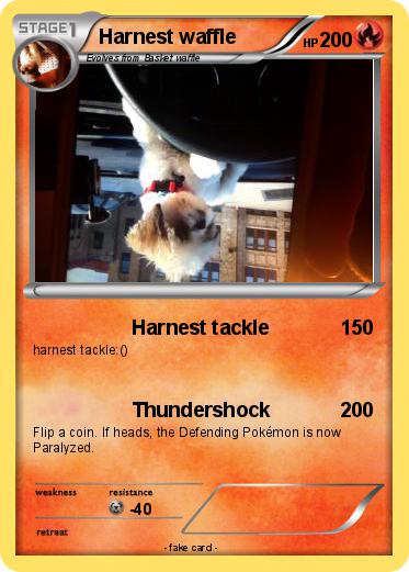 Pokemon Harnest waffle