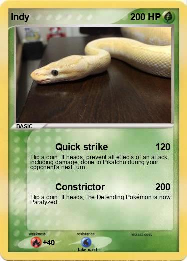 Pokemon Indy