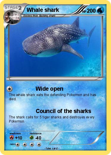 Pokemon Whale shark