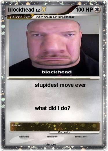 Pokemon blockhead