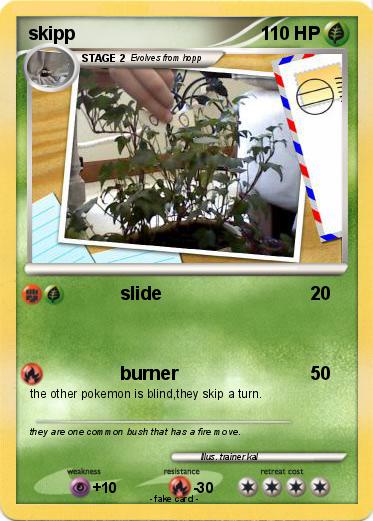Pokemon skipp
